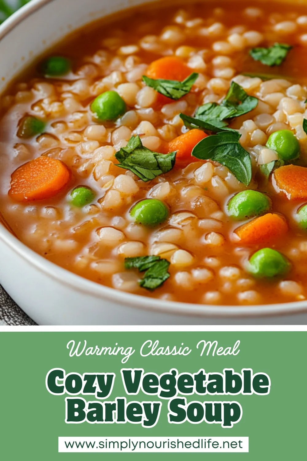 Vegetable Barley Soup