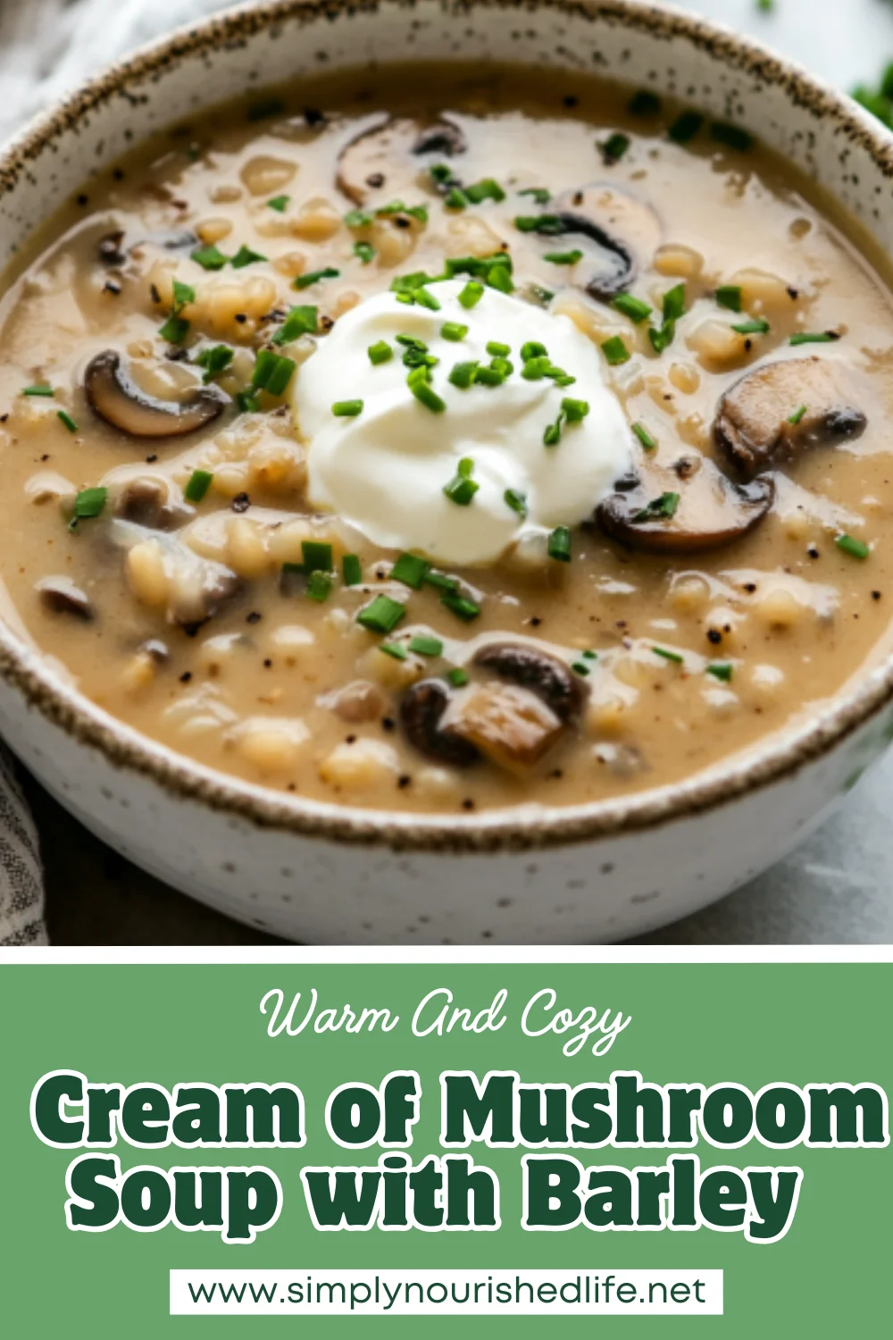 Cream Of Mushroom Soup With Barley