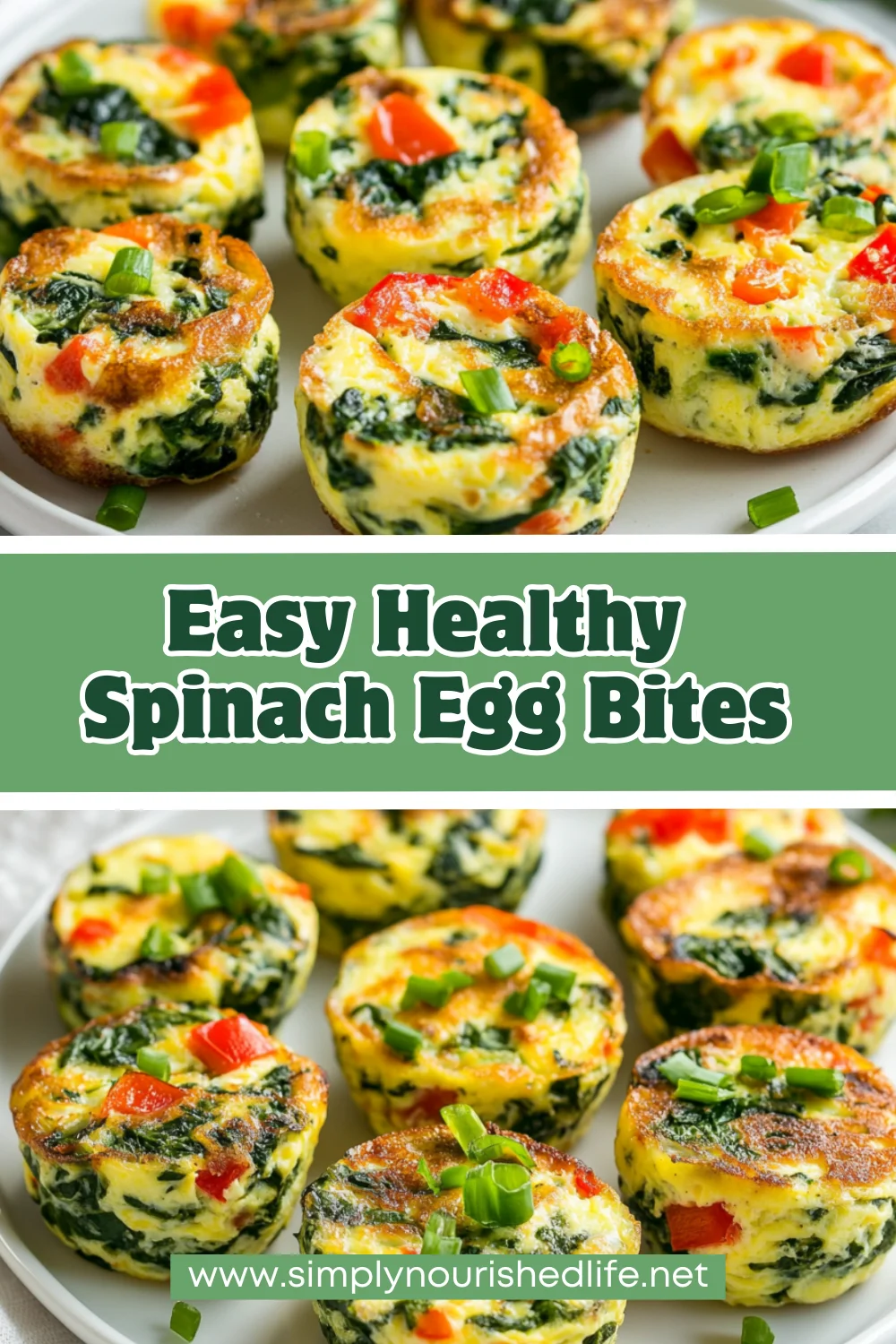 The Best Spinach Egg Bites Recipe For A Healthy Breakfast 1 Spinach Egg Bites