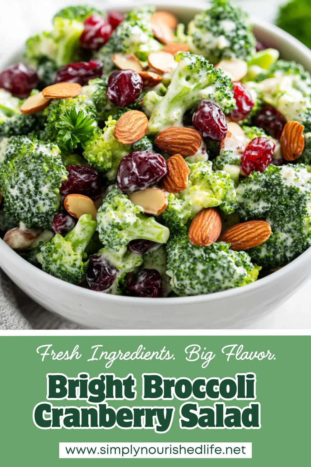 Healthy Broccoli Cranberry Salad With Creamy Greek Yogurt Dressing 1 Broccoli Cranberry Salad