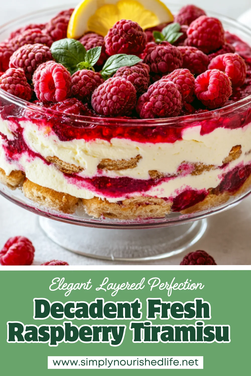 Fresh Raspberry Tiramisu: A Light And Easy Dessert 1 Fresh Raspberry Tiramisu