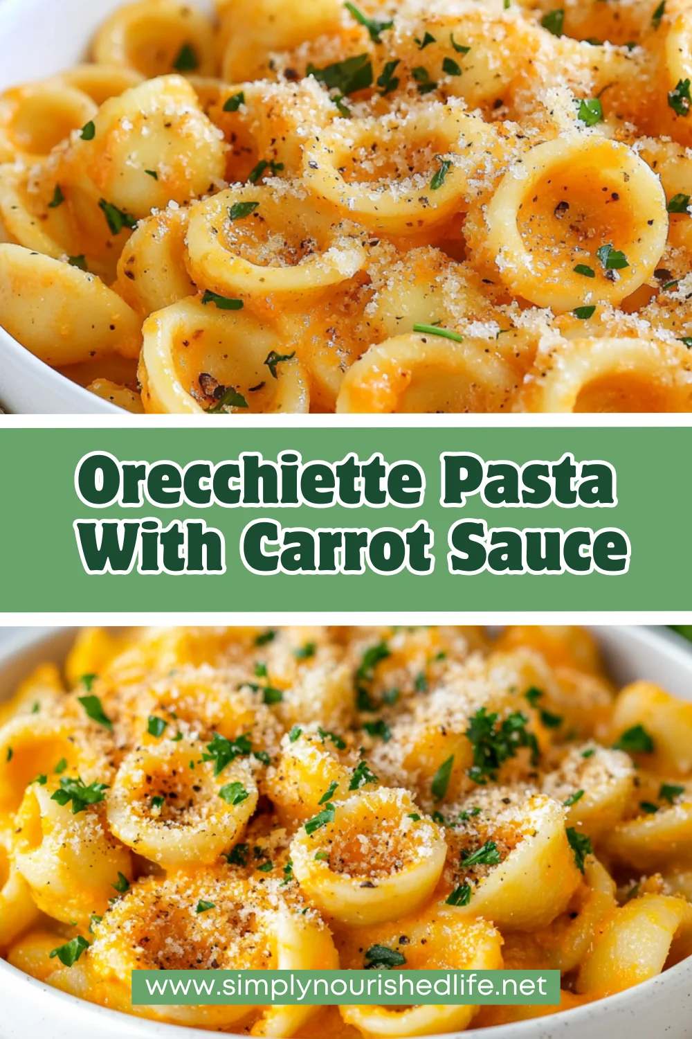 Orecchiette Pasta With Carrot Sauce - A Healthy Vegan Delight 1 Orecchiette Pasta With Carrot Sauce