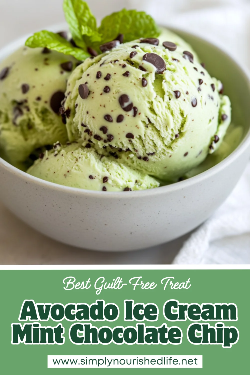 Avocado Ice Cream Mint Chocolate Chip