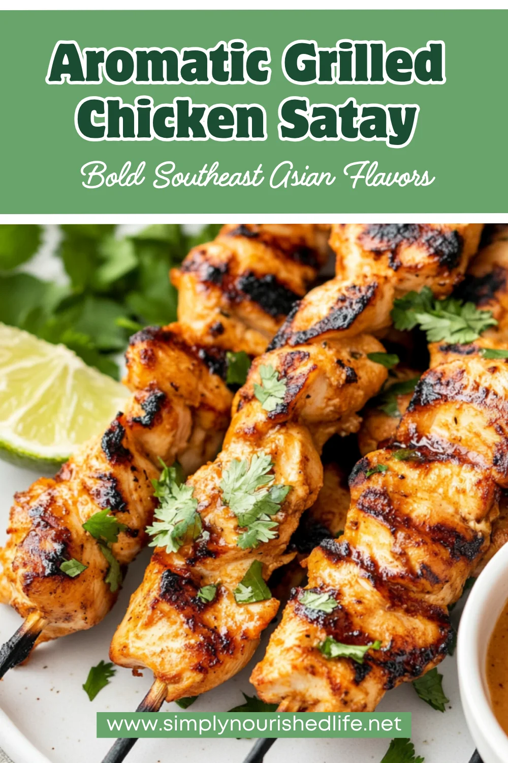 Grilled Chicken Satay