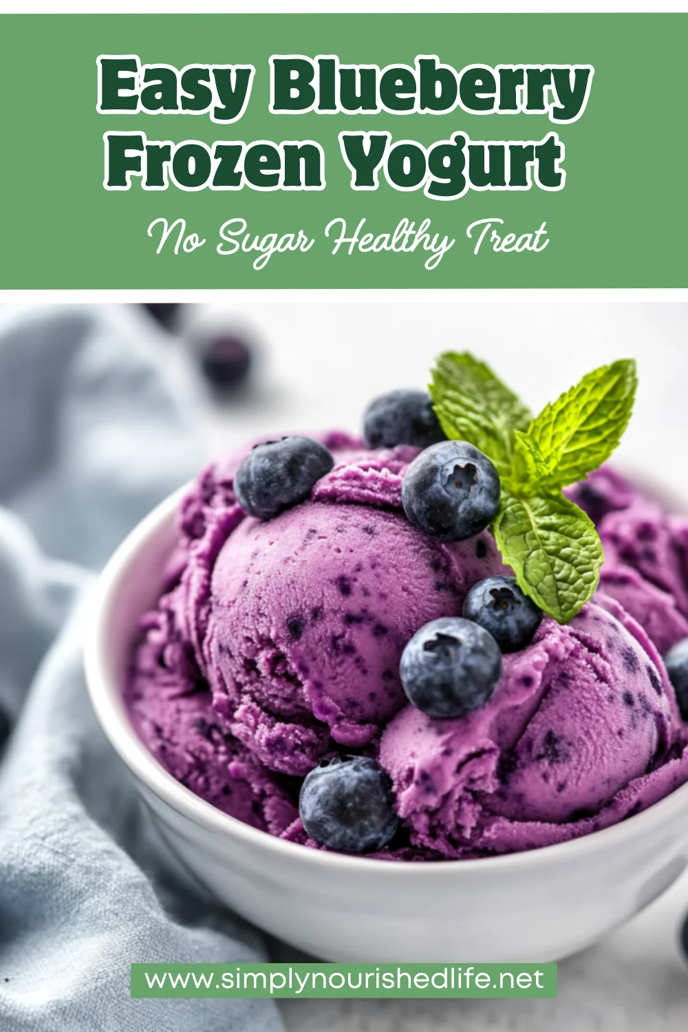 Homemade Blueberry Frozen Yogurt: Easy, Healthy &Amp; Delicious 1 Homemade Blueberry Frozen Yogurt