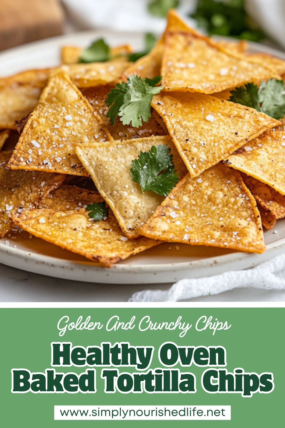 Oven Baked Tortilla Chips
